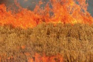καύση φυτικών υπολειμμάτων