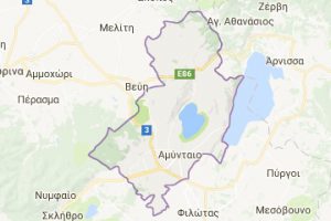 Δημοτική Κοινότητα Αμυνταίου