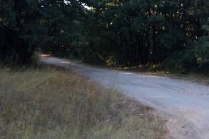 Αγροτική οδοποιία