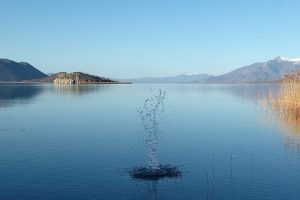 Μικρή Πρέσπα