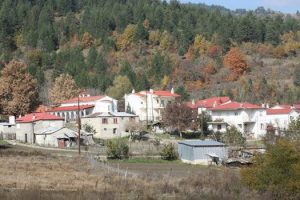 Μικρολίβαδο Γρεβενών
