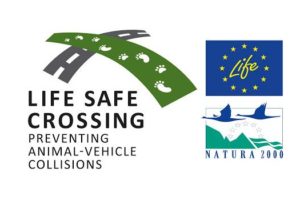 life safe crossing λογότυπο