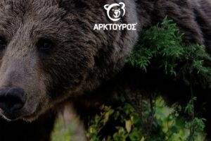 Κέντρο περίθαλψης και φιλοξενίας ειδών άγριας πανίδας