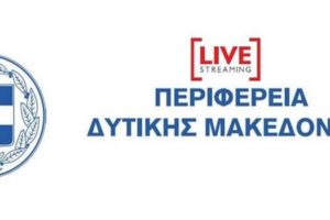 διαδικτυακή συνέντευξη τύπου
