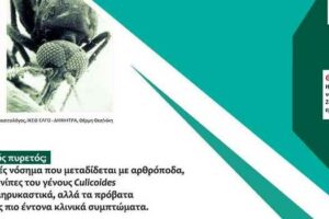 Καταρροϊκός Πυρετός