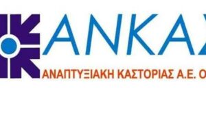 Αναπτυξιακή Καστοριάς Α.Ε. Ο.Τ.Α.