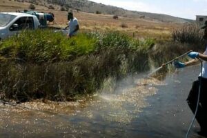 Έργο Καταπολέμησης Κουνουπιών Περιφέρειας Δυτικής Μακεδονίας 2020-2022 - 7