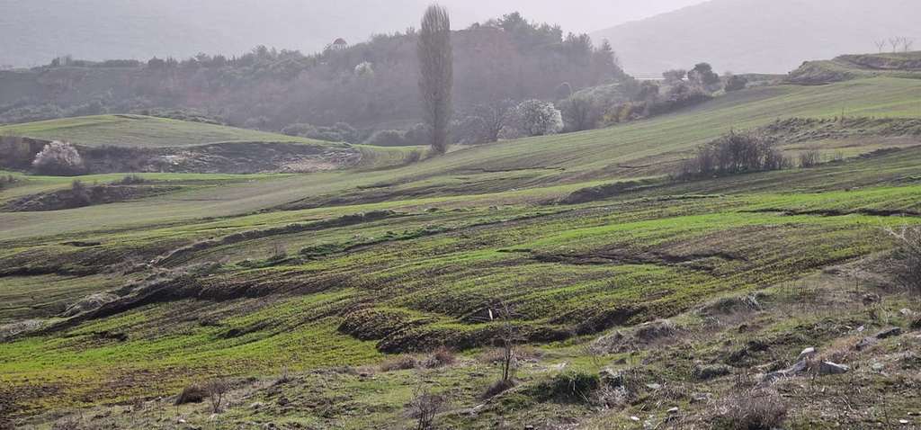 Αυτοψία του Περιφερειάρχη Δυτικής Μακεδονίας Γιώργου Κασαπίδη στο οδικό τμήμα Ρυμνίου – Τριγωνικού που παρουσιάζει καθίζηση, στην περιοχή Τριγωνικού 6