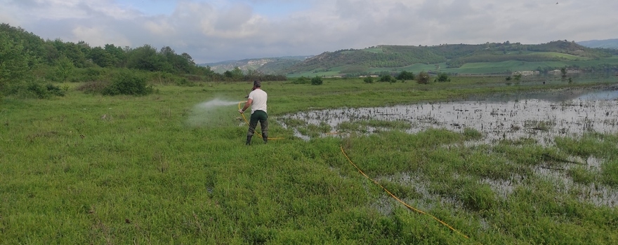 Έργο Καταπολέμησης Κουνουπιών Περιφέρειας Δυτικής Μακεδονίας 2020-2022 - 19