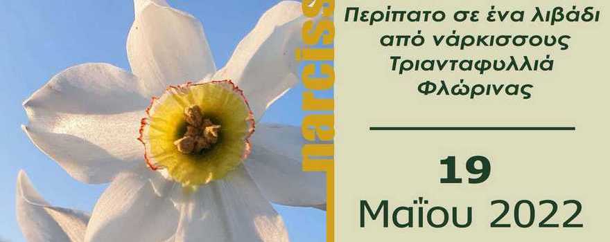 Οικοπεριήγηση - Ξενάγηση από επιστήμονες της Εταιρείας Περιβάλλοντος Δυτικής Μακεδονίας στην Τριανταφυλλιά Φλώρινας (19 Μαΐου 2022 στις 4 μ.μ.) β