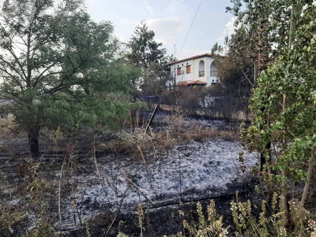 Κατάσβεση της πυρκαγιάς στην περιοχή Κάργα του Δήμου Άργους Ορεστικού 5