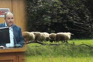 Προχωράει η εκπόνηση των Διαχειριστικών Σχεδίων Βόσκησης στην Περιφέρεια Δυτικής Μακεδονίας