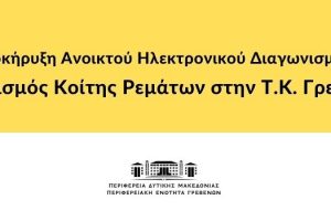 Προκήρυξη Ανοικτού Ηλεκτρονικού Διαγωνισμού «Καθαρισμός Κοίτης Ρεμάτων στην Τ.Κ. Γρεβενών»