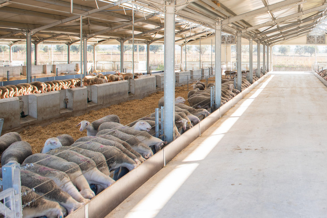 Κατασκευή κτηνοτροφικής μονάδας (χοιροτροφείο) δυναμικότητας 350 χοιρομητέρων με τα παράγωγά τους μέχρι τελικής πάχυνσης στη θέση ‘Βρωμονέρι’