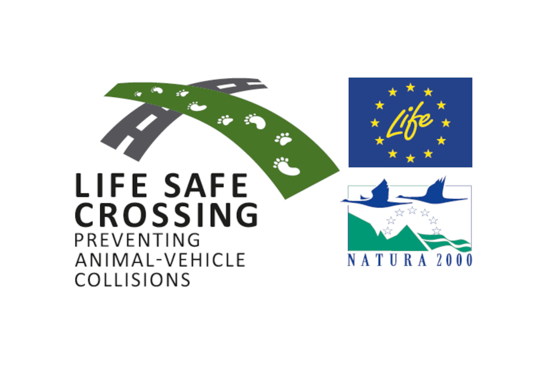 Τριήμερο δημόσιων εκδηλώσεων του LIFE Safe Crossing σε Καστοριά, Αμύνταιο και Κοζάνη: 28, 29 και 30 Αυγούστου