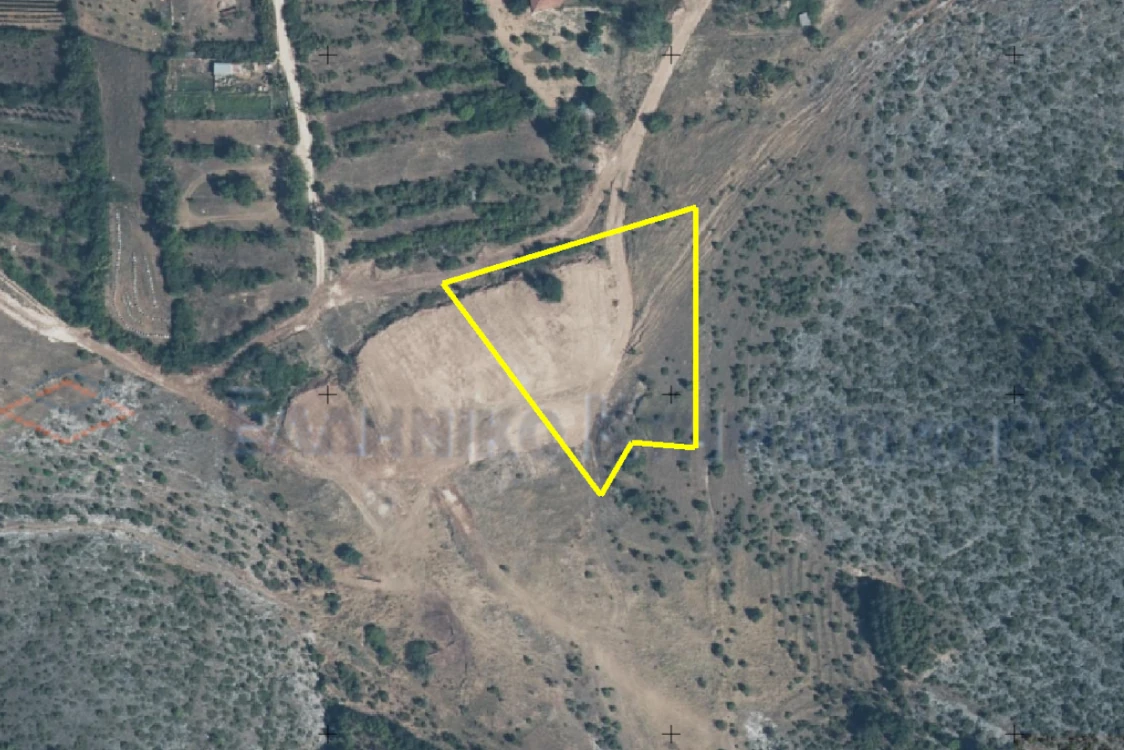 Διακήρυξη δημοπρασίας για την παραχώρηση κατά χρήση ακινήτου έκτασης 7.500 τμ στο αγρόκτημα «Κοιλάδα-Κρεμαστή» Δήμου Κοζάνης για κτηνοτροφική χρήση