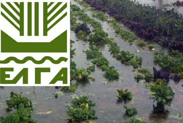 Επιστολή προς τον ΕΛΓΑ με στόχο την προστασία της αγροτικής παραγωγής λόγω των έντονων καιρικών φαινομένων