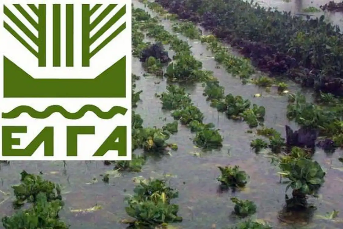 Επιστολή προς τον ΕΛΓΑ με στόχο την προστασία της αγροτικής παραγωγής λόγω των έντονων καιρικών φαινομένων