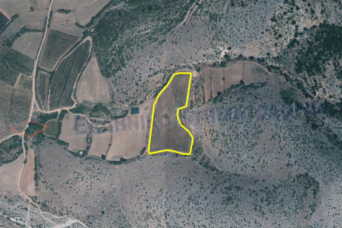 Διακήρυξη δημοπρασίας για την παραχώρηση κατά χρήση ακινήτου συνολικής έκτασης 15.807,69 τμ στο αγρόκτημα «Μεσόβουνο» Δήμου Εορδαίας