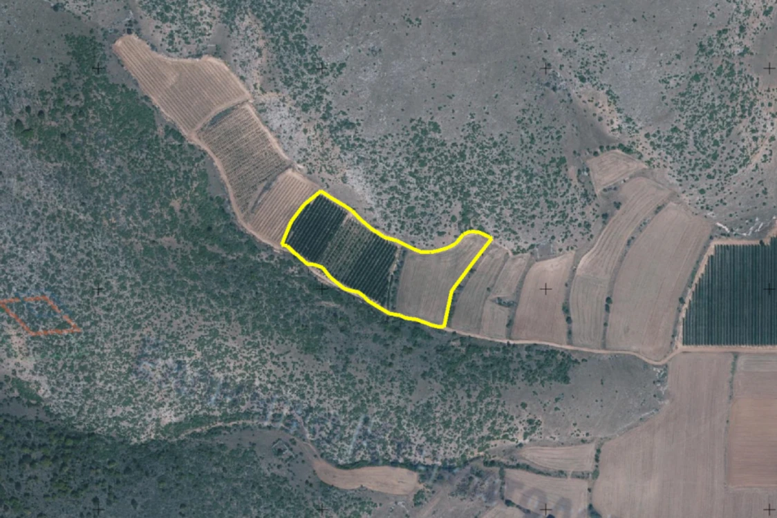 Διακήρυξη δημοπρασίας για την παραχώρηση κατά χρήση ακινήτου συνολικής έκτασης 26.580,24 τμ στο αγρόκτημα «Μεσόβουνο» Δήμου Εορδαίας