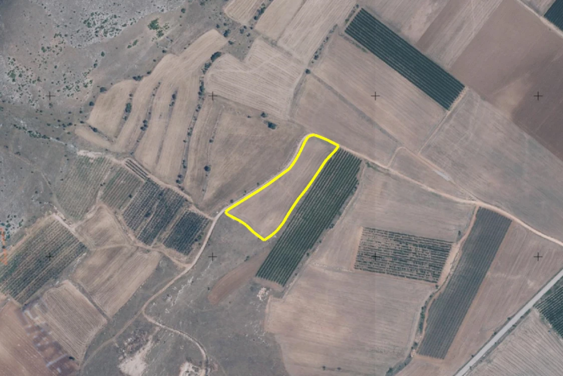 Διακήρυξη δημοπρασίας για την παραχώρηση κατά χρήση ακινήτου συνολικής έκτασης 16.461,87 τμ στο αγρόκτημα «Μεσόβουνο» Δήμου Εορδαίας