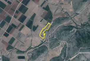 Διακήρυξη δημοπρασίας για την παραχώρηση κατά χρήση ακινήτου συνολικής έκτασης 3.061,47 τμ στο αγρόκτημα «Μεσόβουνο» Δήμου Εορδαίας