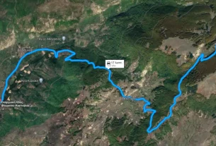 Μελέτη για τη Βελτίωση της Επαρχιακής οδού δικτύου Βυσσινιά – Βιτσίου