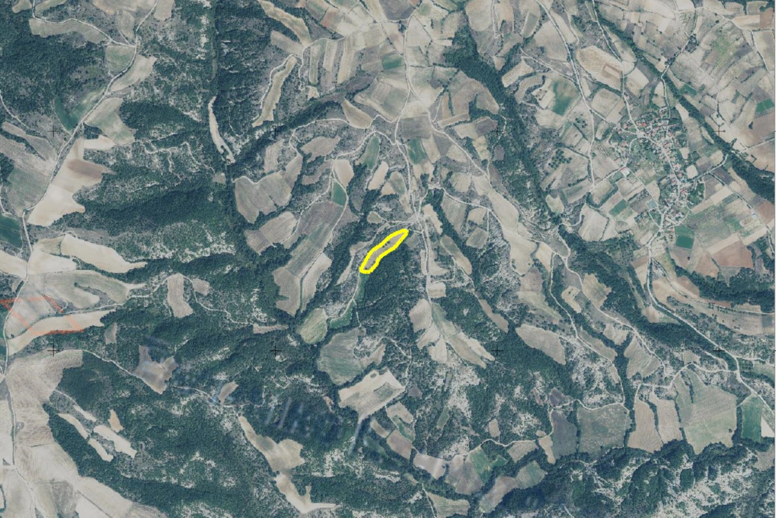 Διακήρυξη δημοπρασίας για την παραχώρηση κατά χρήση ακινήτου συνολικής έκτασης 20.628,10 τμ στο αγρόκτημα «Βροντή» Δήμου Βοΐου