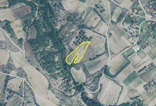 Διακήρυξη δημοπρασίας για την παραχώρηση κατά χρήση ακινήτου συνολικής έκτασης 9.846 τμ στο αγρόκτημα «Βροντή» Δήμου Βοΐου