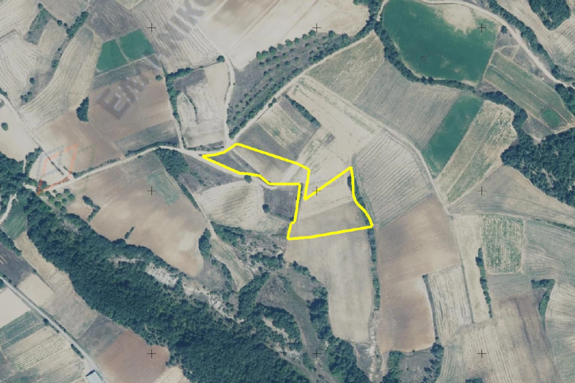 Διακήρυξη δημοπρασίας για την παραχώρηση κατά χρήση ακινήτου συνολικής έκτασης 12.800 τμ στο αγρόκτημα «Βροντή» Δήμου Βοΐου