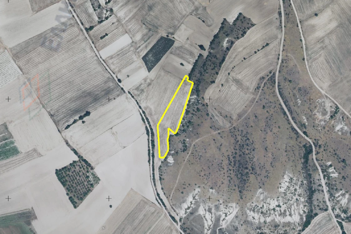 Διακήρυξη δημοπρασίας για την παραχώρηση κατά χρήση ακινήτου συνολικής έκτασης 6.698 τμ στο αγρόκτημα «Σταυρωτή» Δήμου Κοζάνης