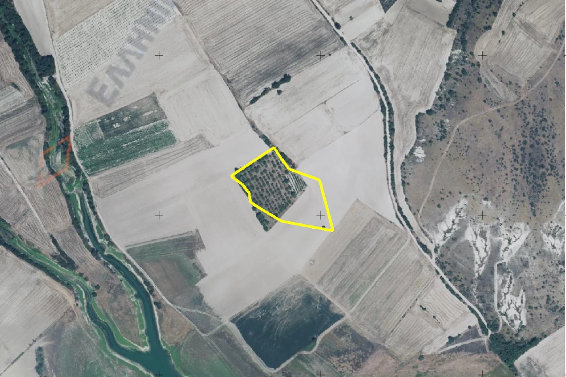 Διακήρυξη δημοπρασίας για την παραχώρηση κατά χρήση ακινήτου συνολικής έκτασης 36.420,16 τμ στο αγρόκτημα «Σταυρωτή» Δήμου Κοζάνης