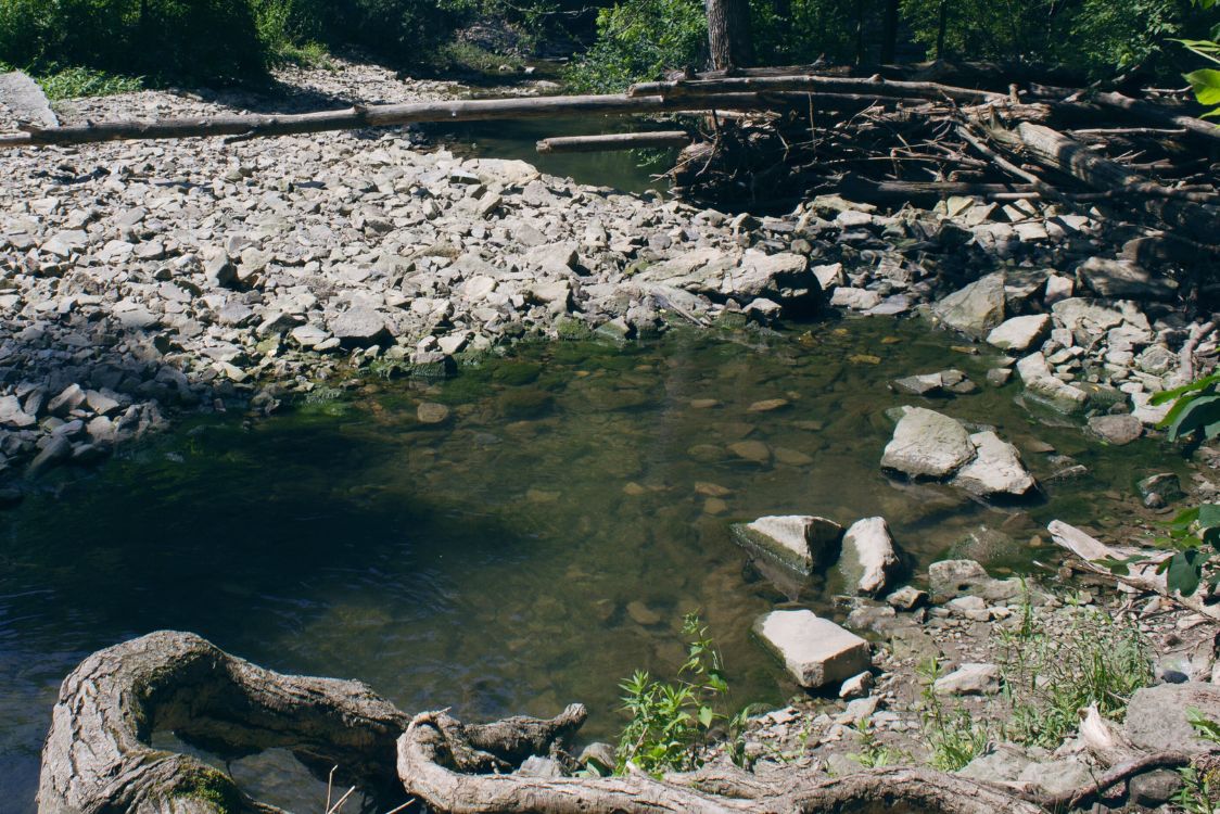 καθαρισμός κοίτης ρεμάτων