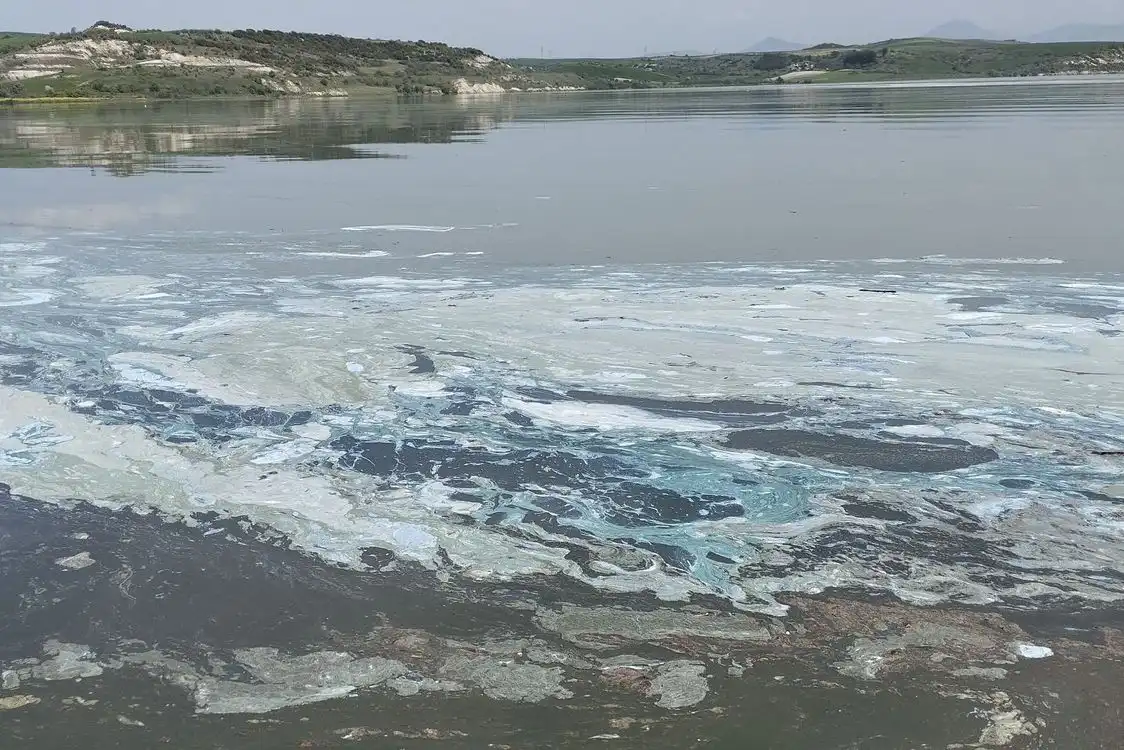 Αυτοψία στη λίμνη Πολυφύτου - Συλλογή δειγμάτων και έρευνα για τον επιφανειακό αφρισμό