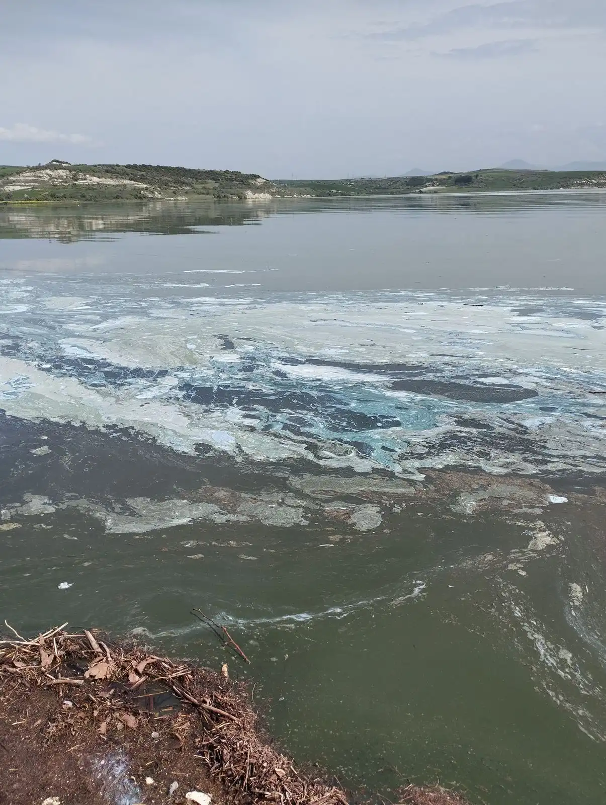 Διεύθυνση Περιβάλλοντος & Χωρικού Σχεδιασμού Περιφέρειας Δυτικής Μακεδονίας: Αυτοψία στη λίμνη Πολυφύτου - Συλλογή δειγμάτων και έρευνα  για τον επιφανειακό αφρισμό