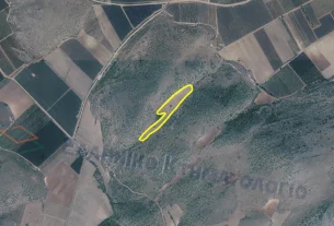 Διακήρυξη δημοπρασίας για την παραχώρηση κατά χρήση ακινήτου συνολικής έκτασης 14.781,09 τμ στο αγρόκτημα «Πύργοι» Δήμου Εορδαίας