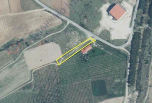 Διακήρυξη δημοπρασίας για την παραχώρηση κατά χρήση ακινήτου συνολικής έκτασης 1.688 τμ στο αγρόκτημα «Αγίου Δημητρίου» Δήμου Κοζάνης