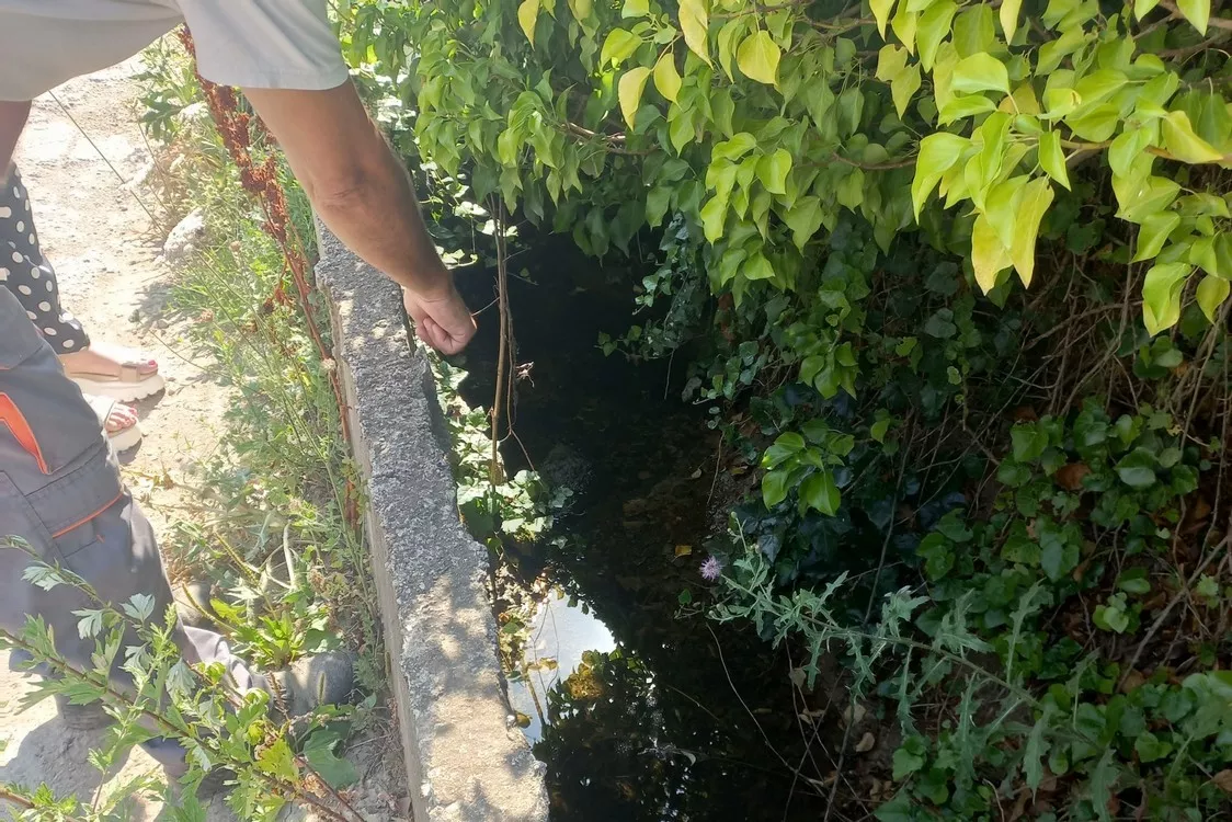 Πρόγραμμα κίνησης συνεργείων για το Έργο Καταπολέμησης Κουνουπιών ΠΔΜ 2026-2028