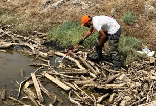 Πρόγραμμα κίνησης συνεργείων για το Έργο Καταπολέμησης Κουνουπιών ΠΔΜ 2026-2028